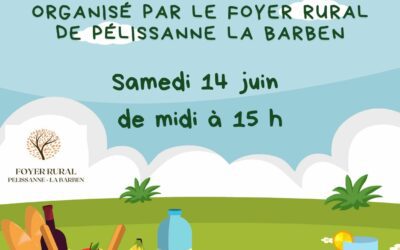 PICNIC PARC SAINT MARTIN